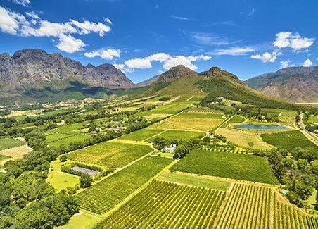 Cape Winelands Tour
